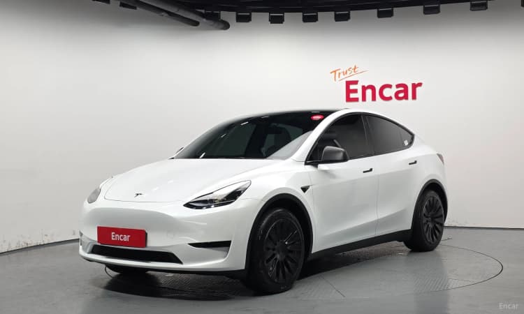 Model Y