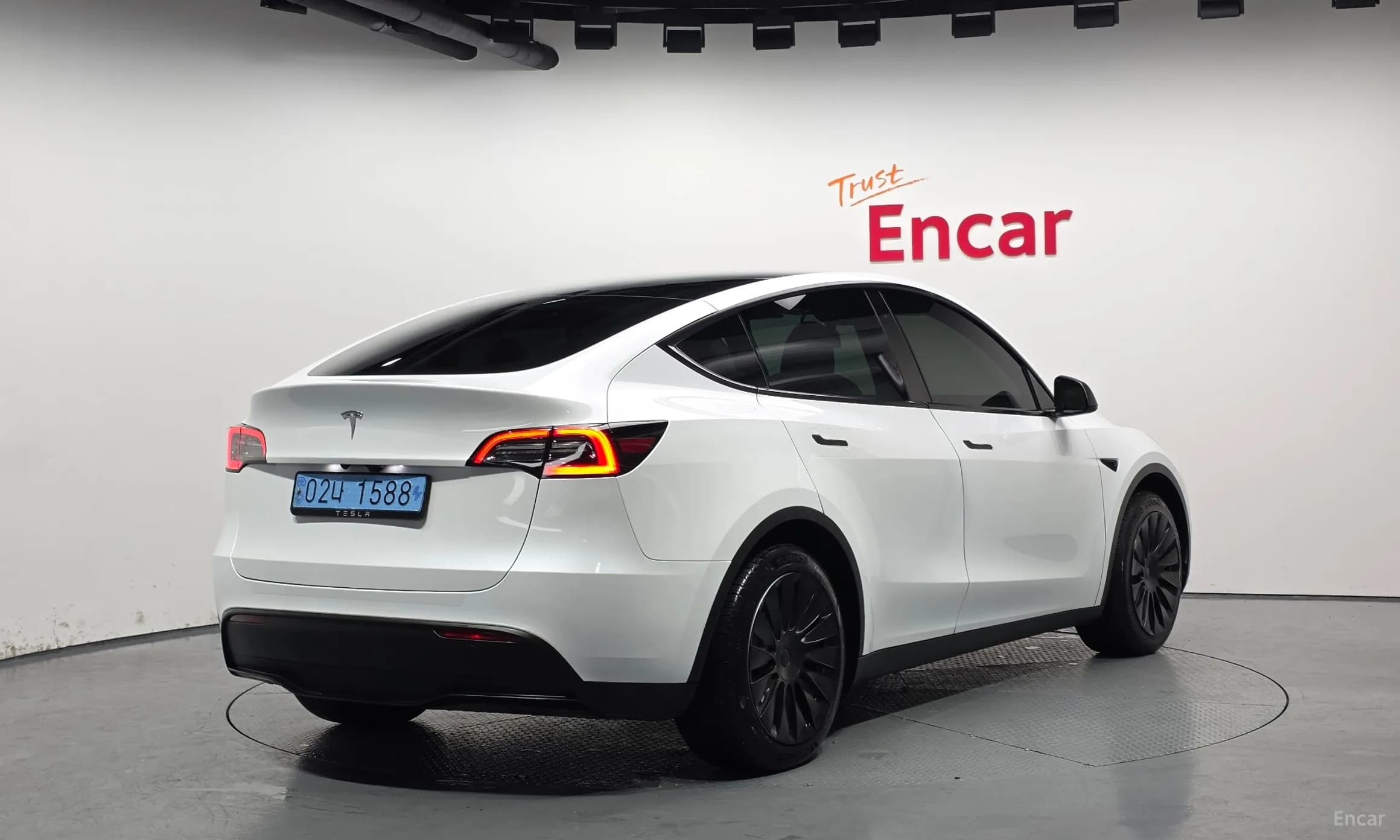 Model Y