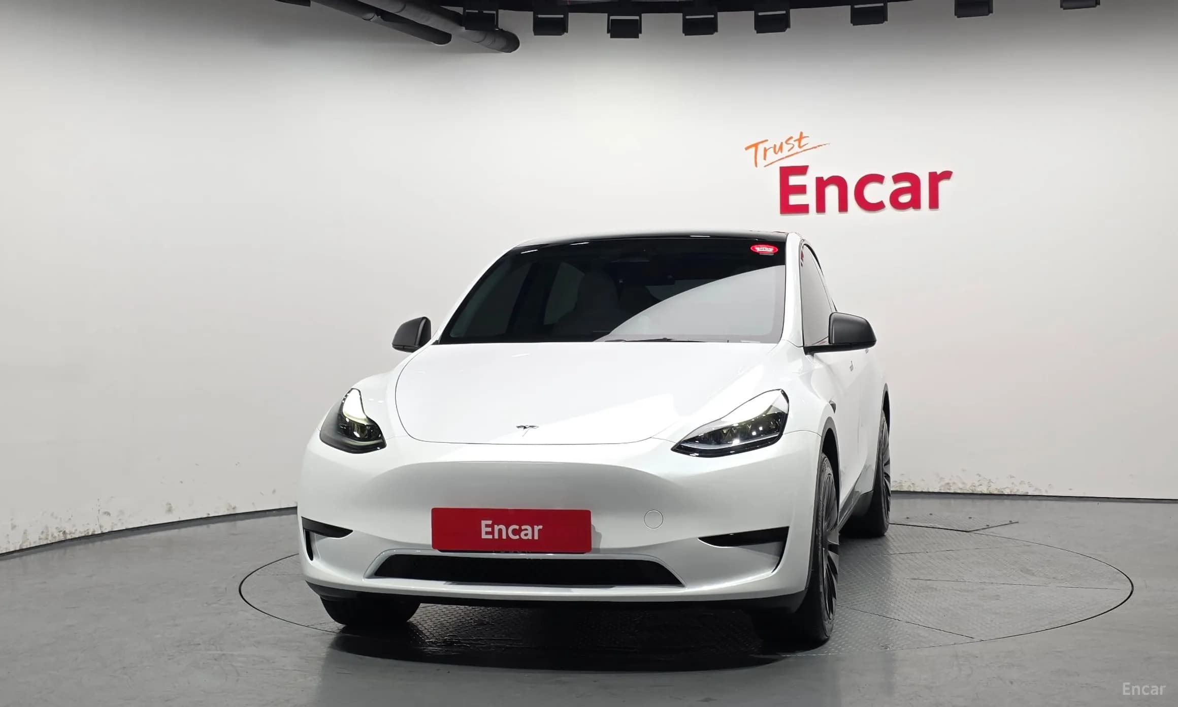Model Y