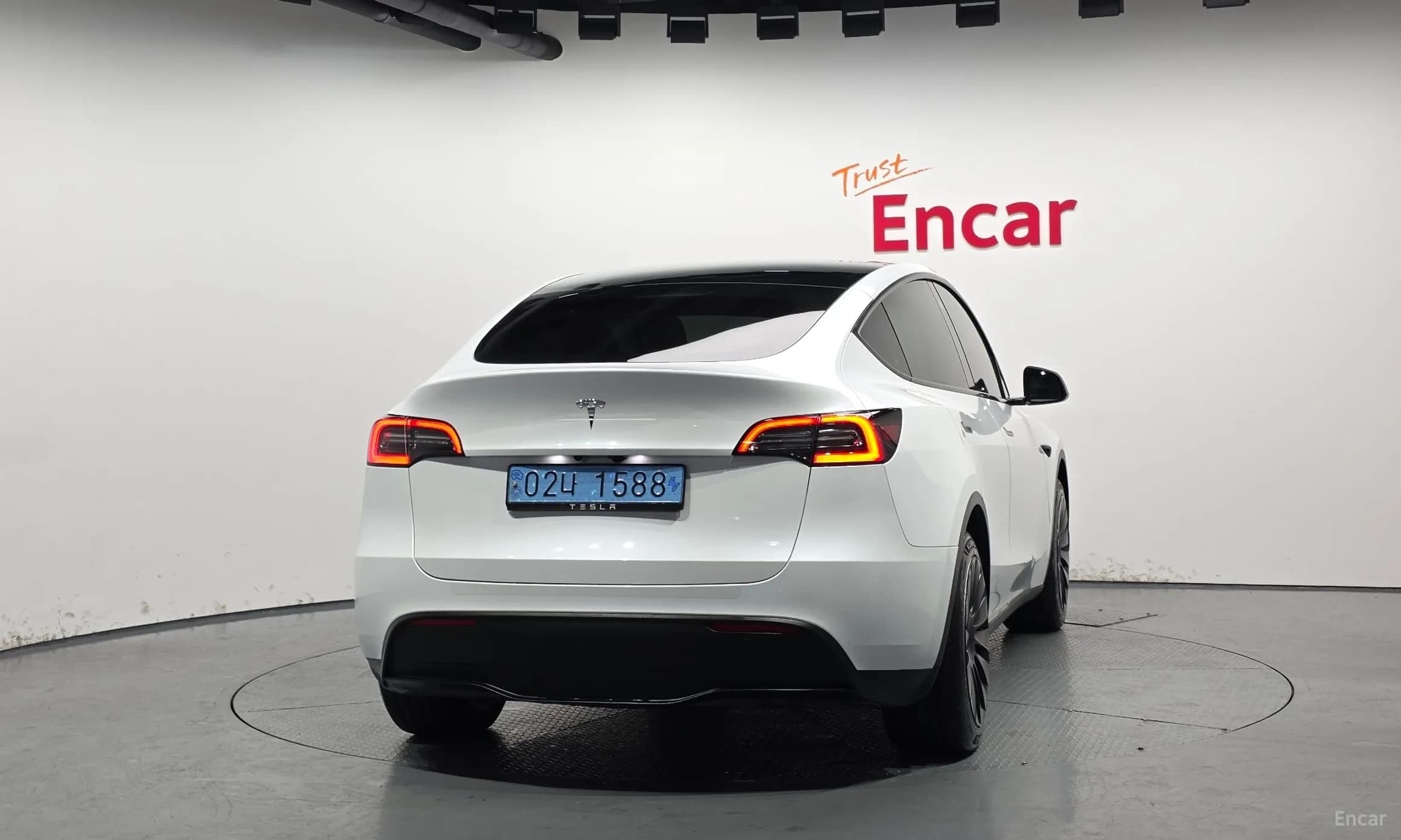 Model Y