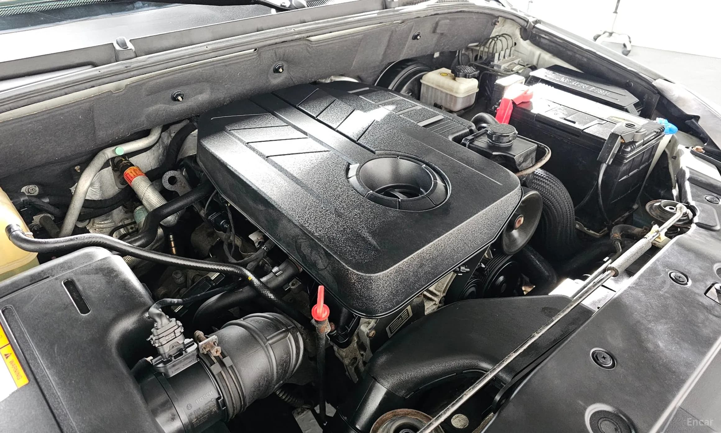 Korando Sports