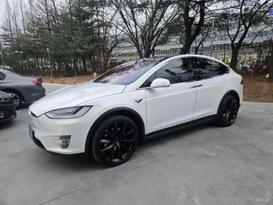 Model X