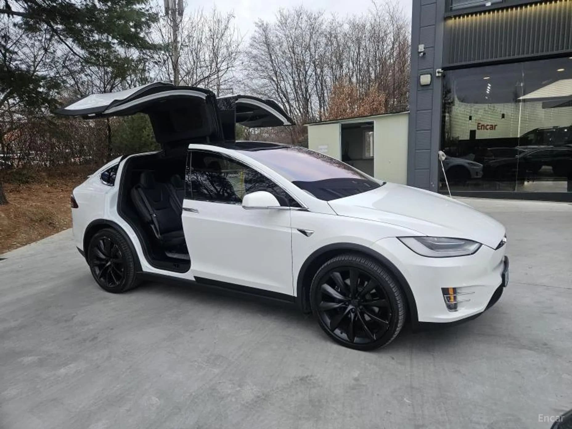 Model X