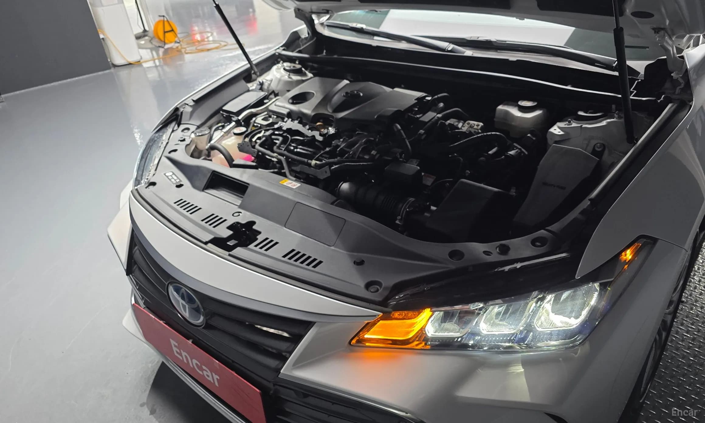 Avalon 5th Generation