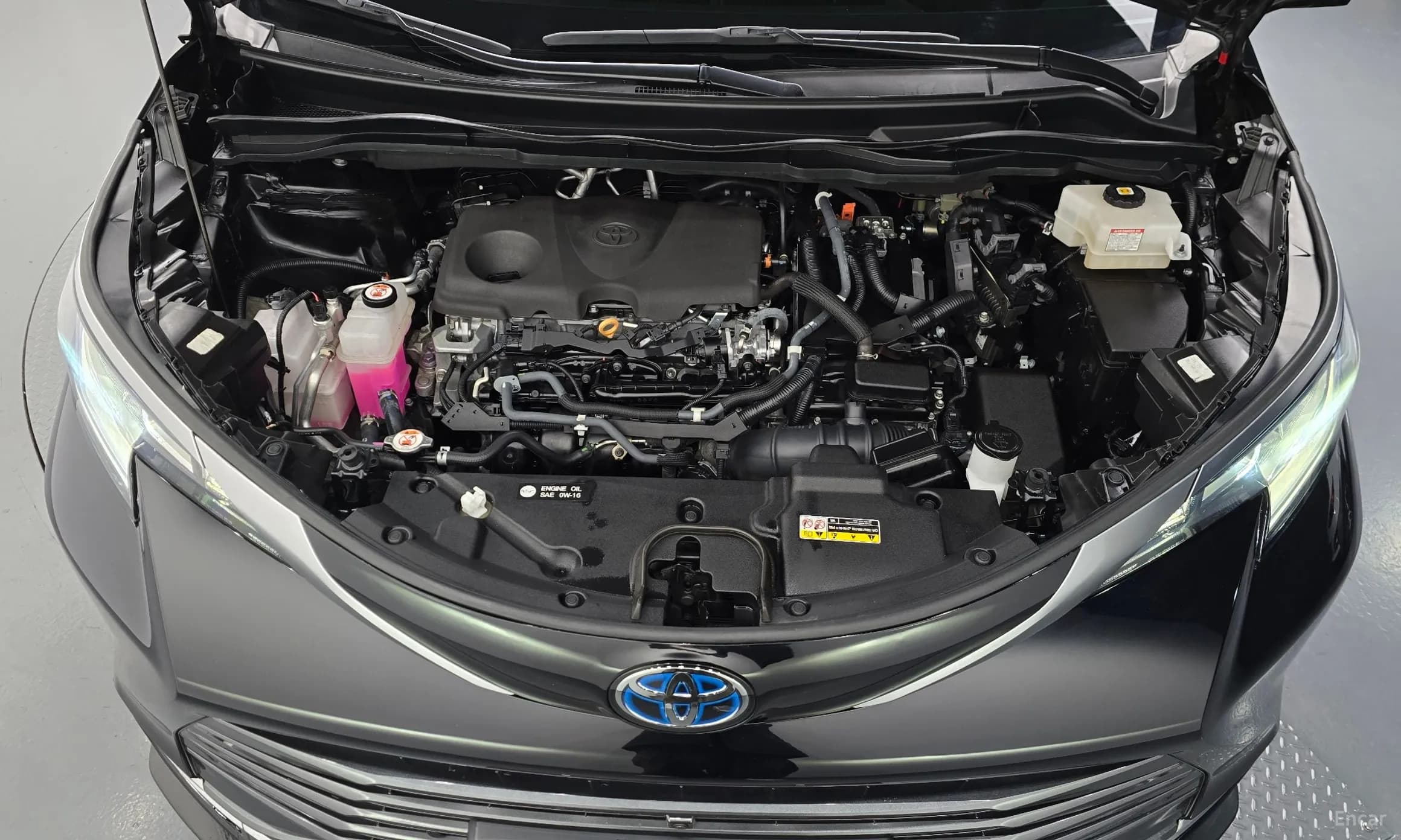 Siena 4th generation