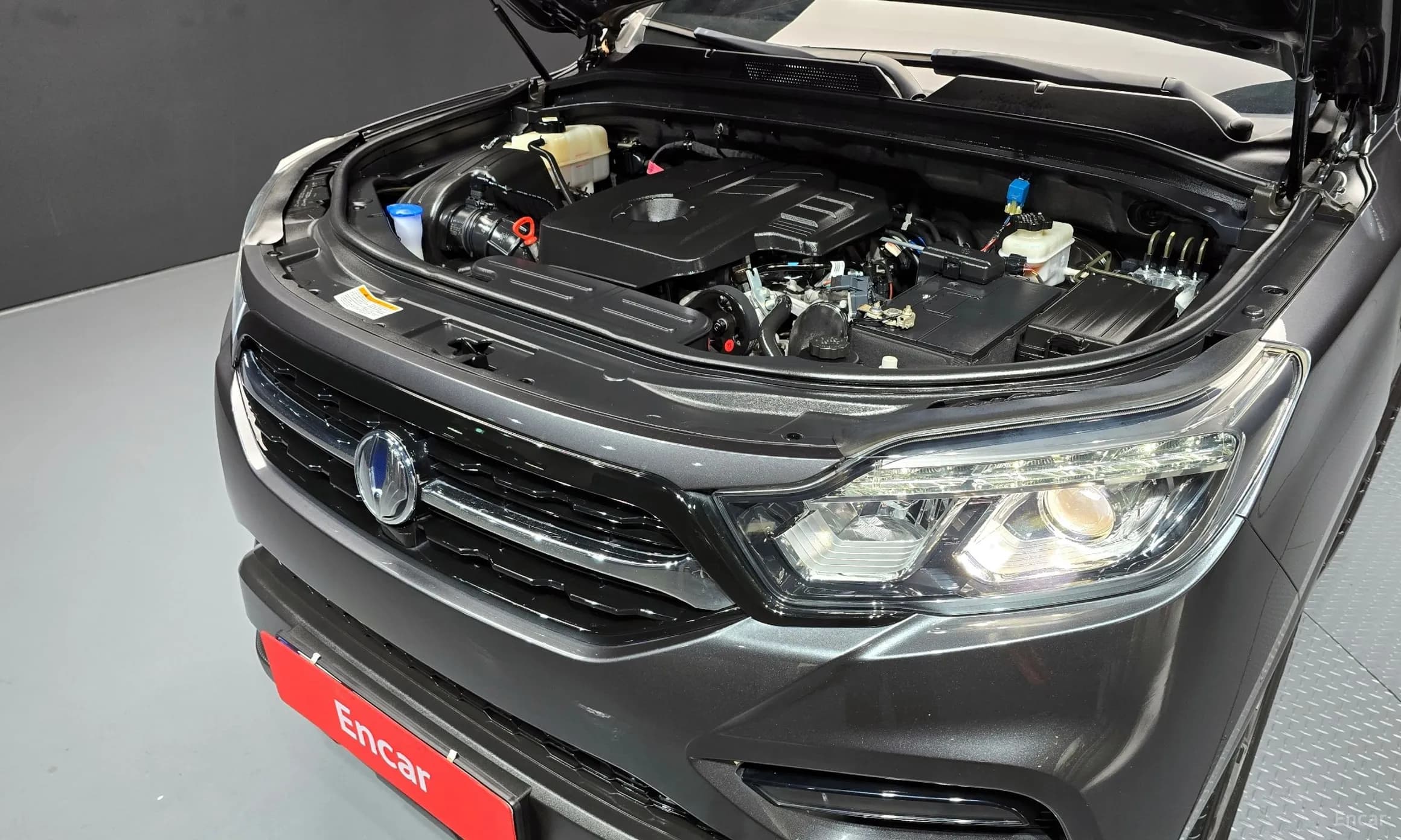 Rexton Sports