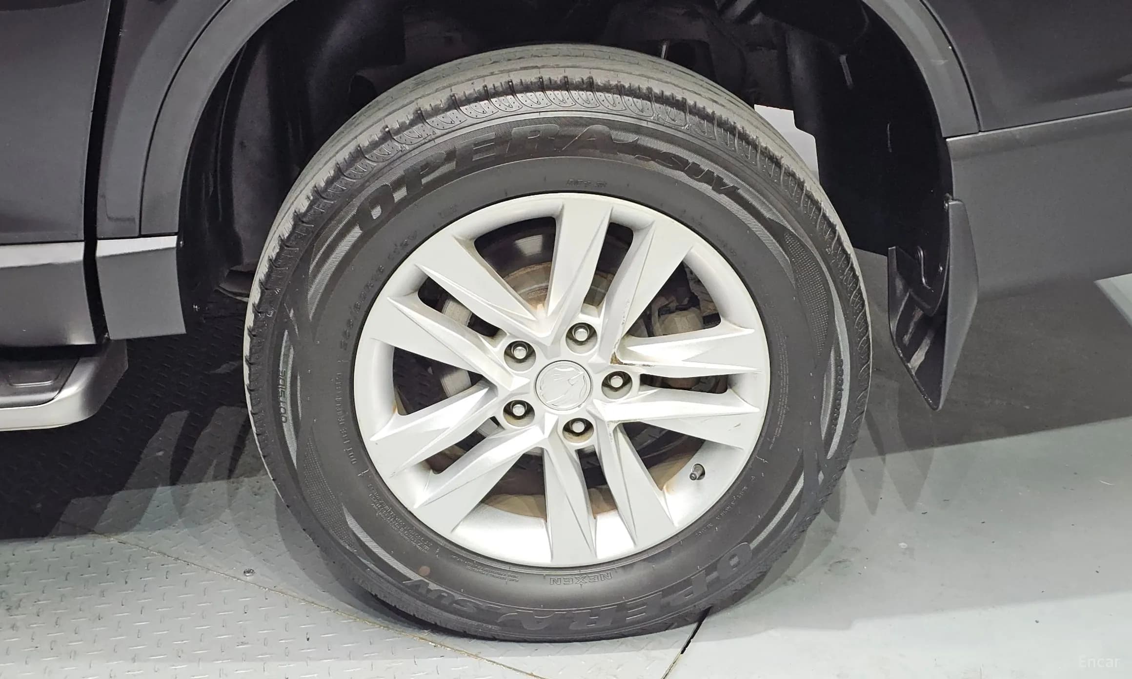 Rexton Sports