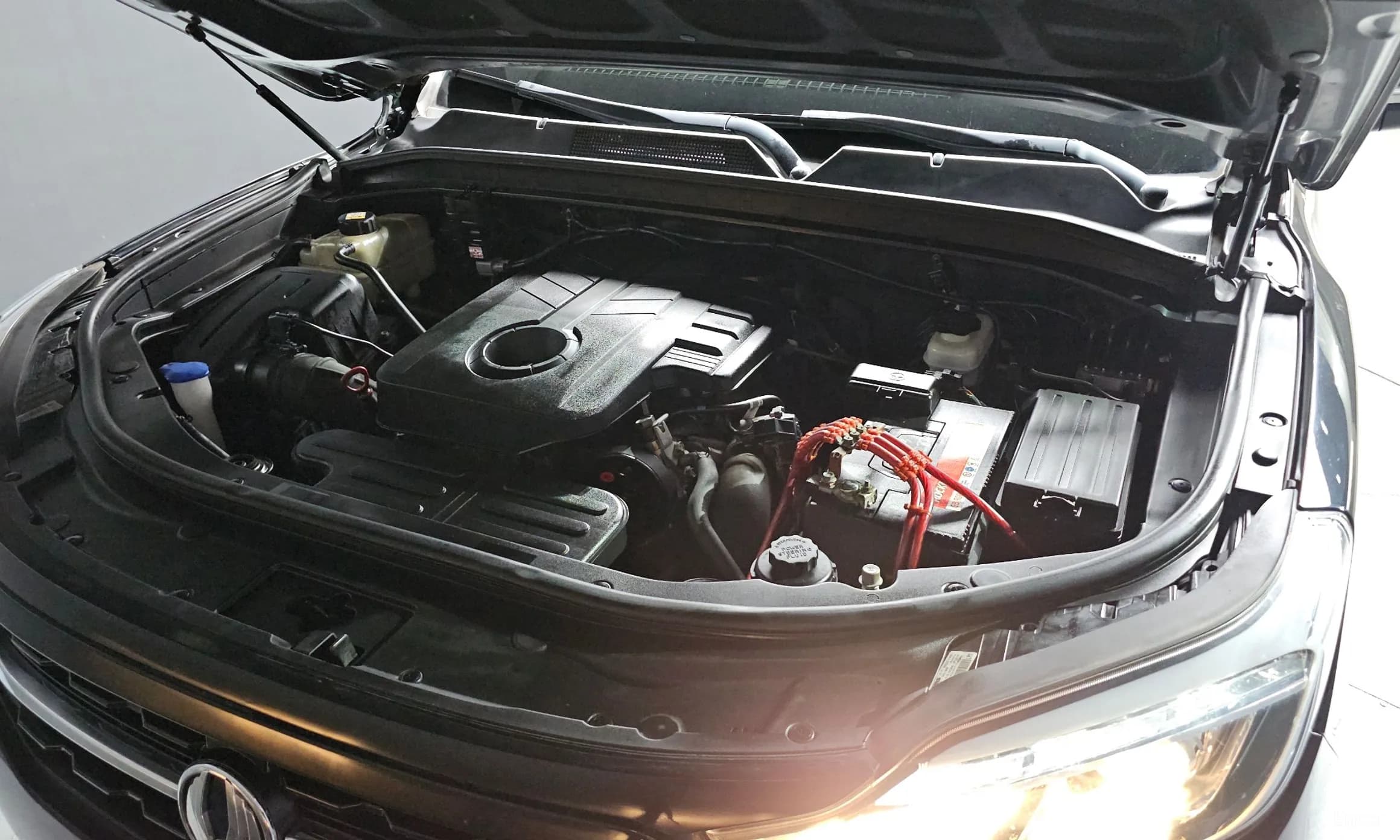 Rexton Sports