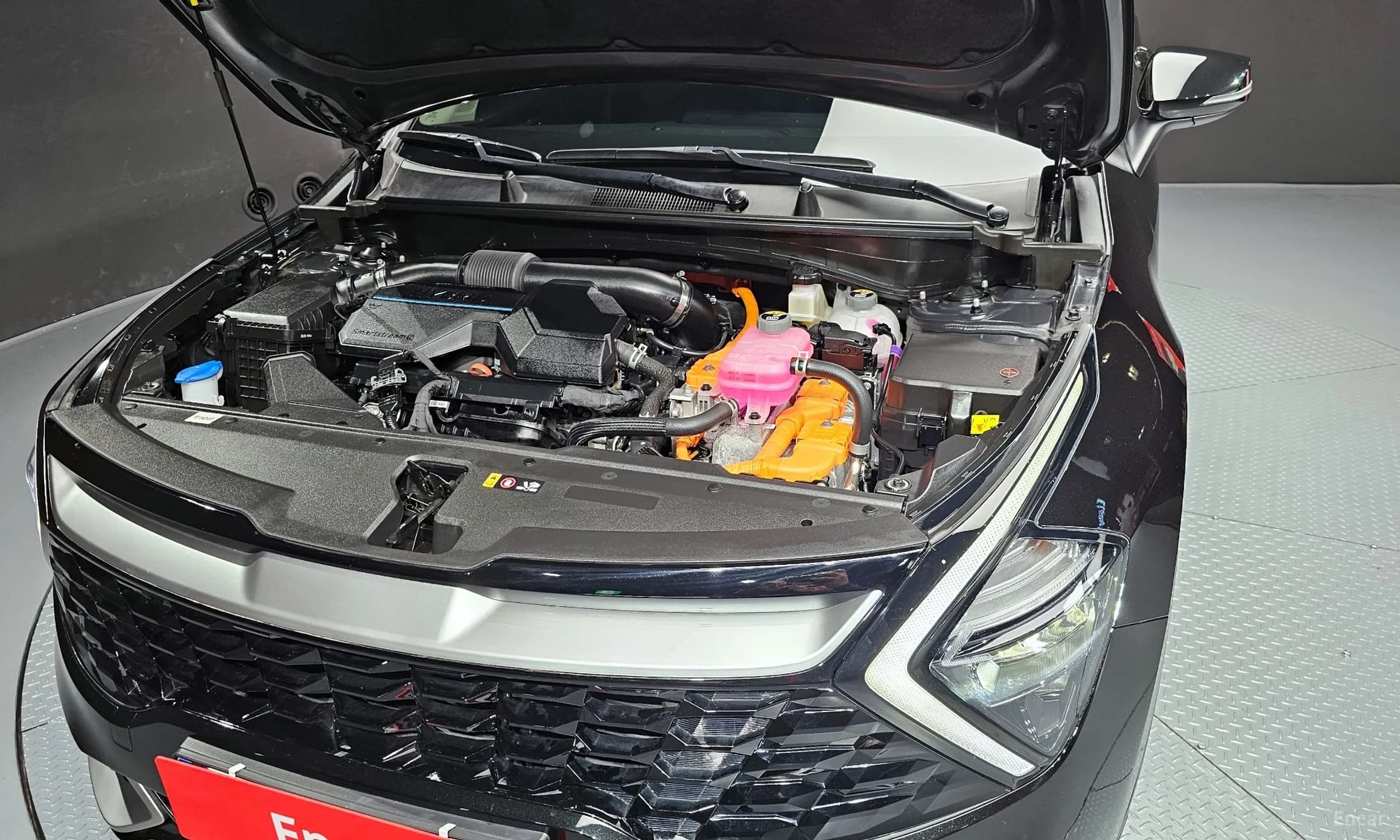 Sportage 5th Generation Hybrid