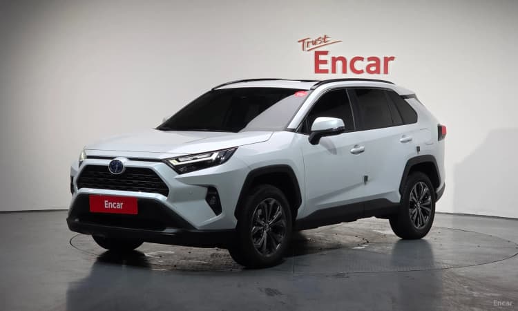 RAV4 5th Generation