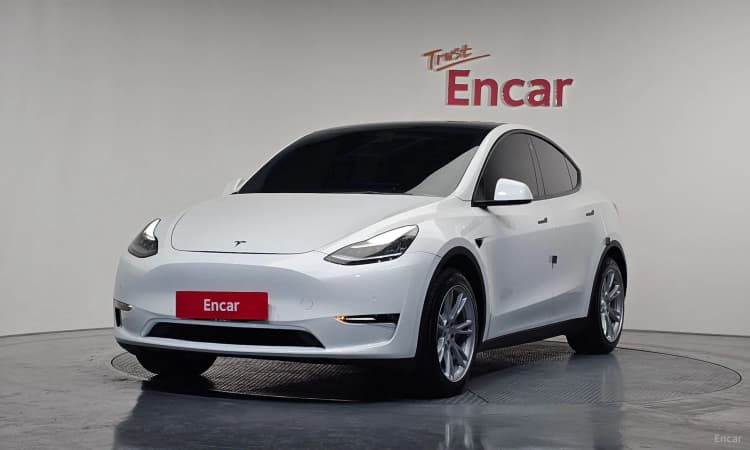 Model Y
