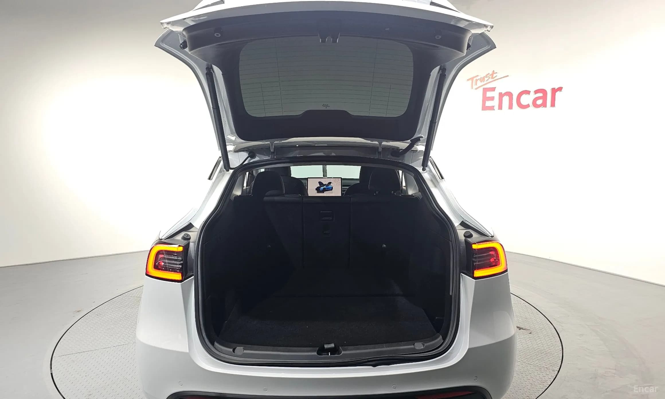 Model Y