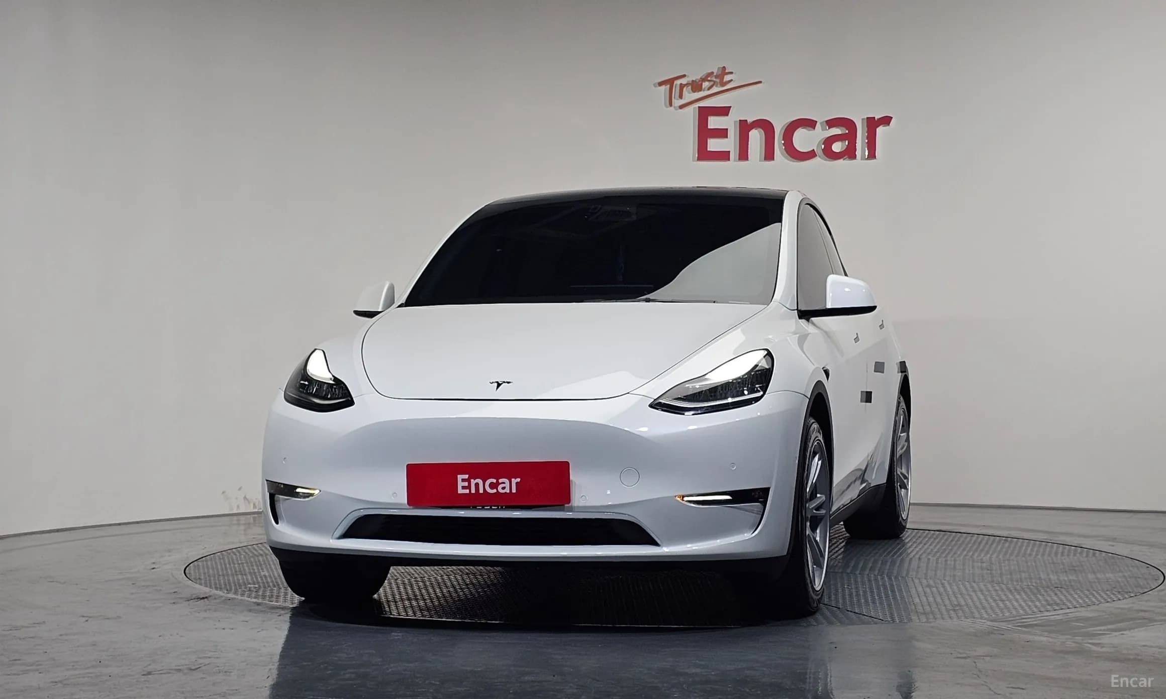 Model Y