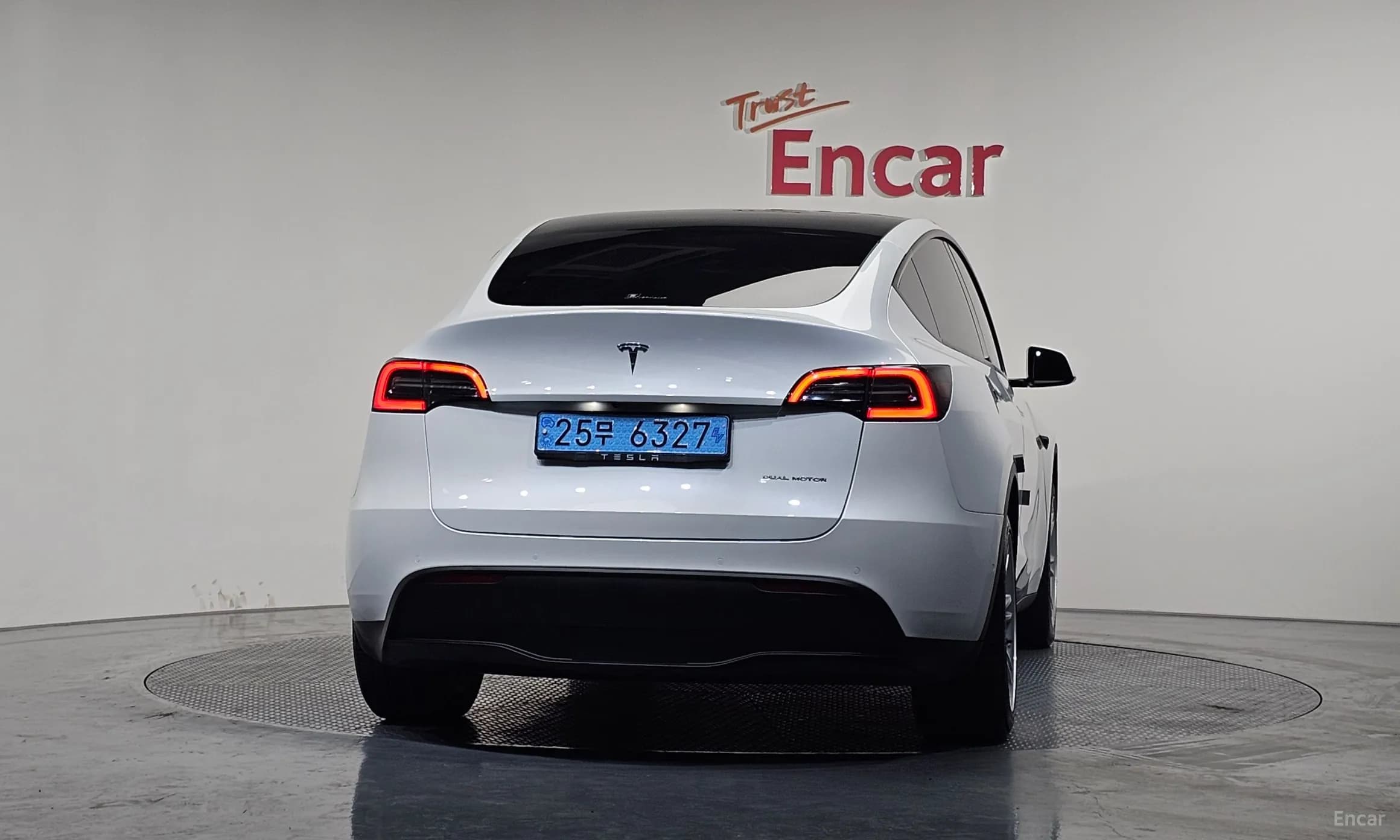 Model Y