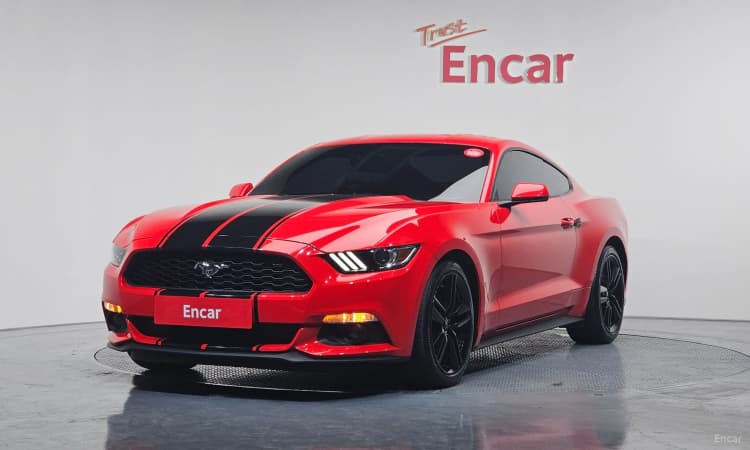 Mustang