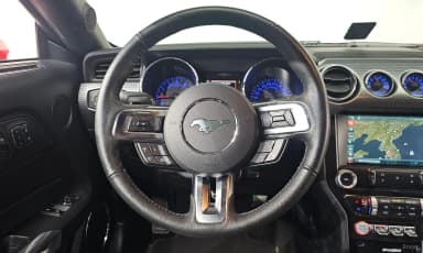 Mustang