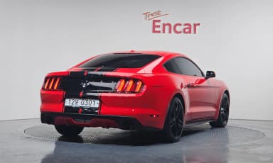 Mustang
