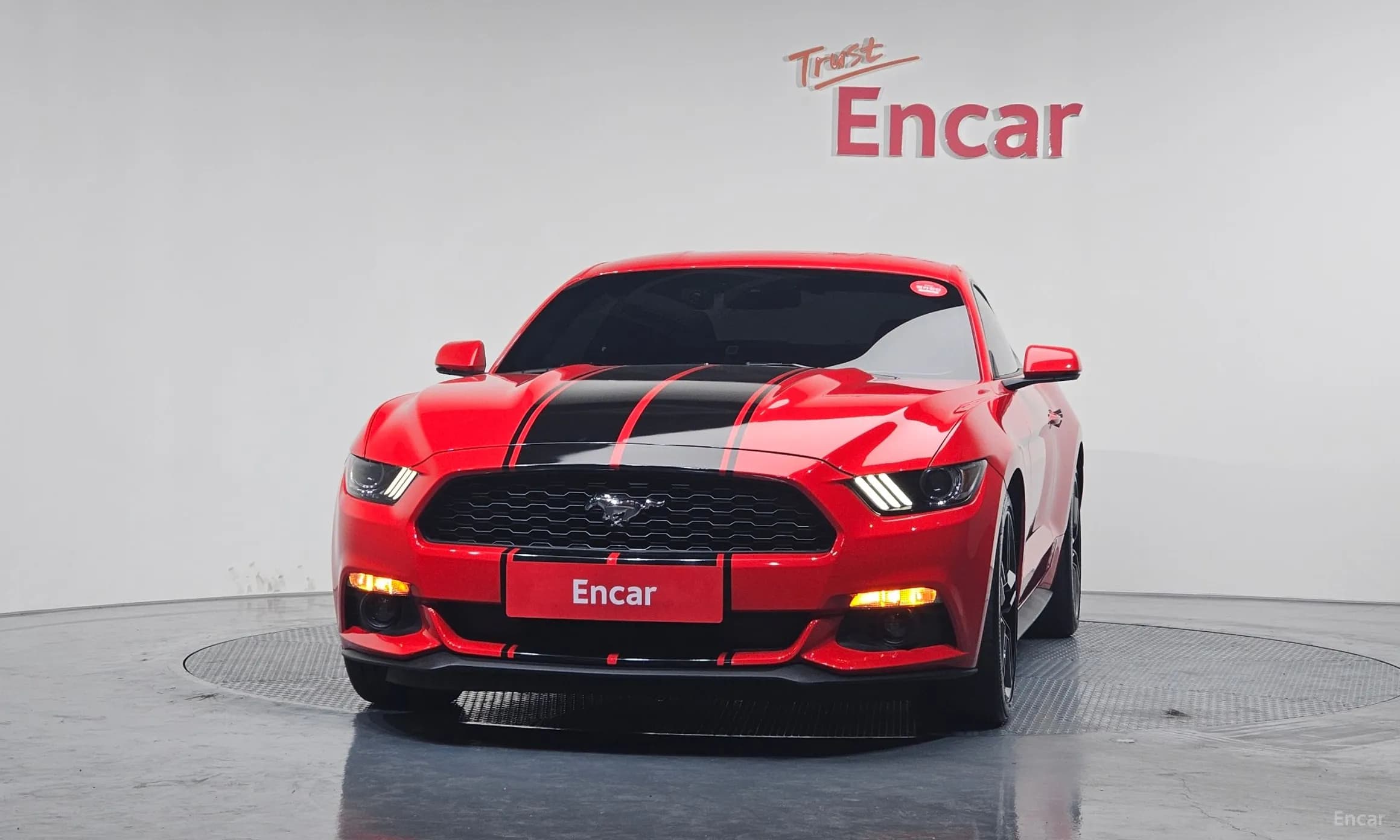 Mustang