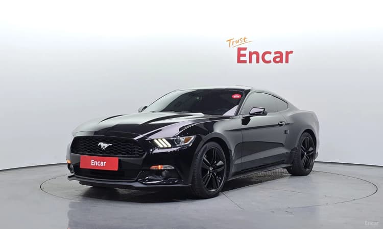 Mustang