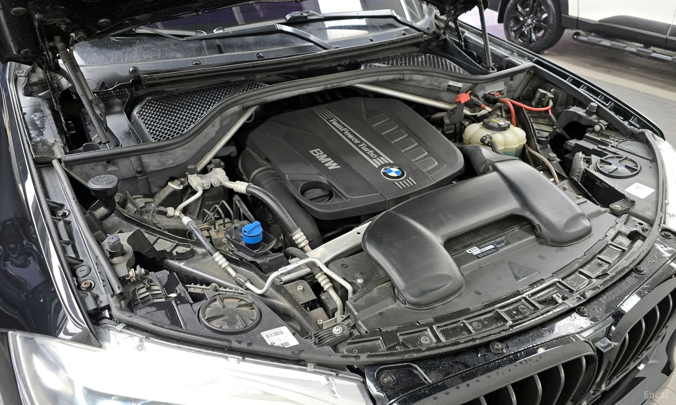 X6 (F16)