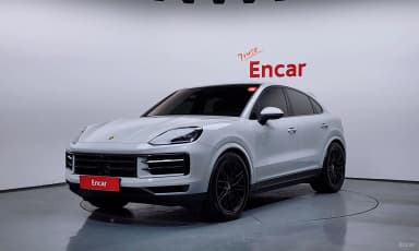 Cayenne (PO536)