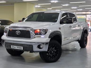 tundra
