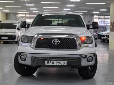 tundra