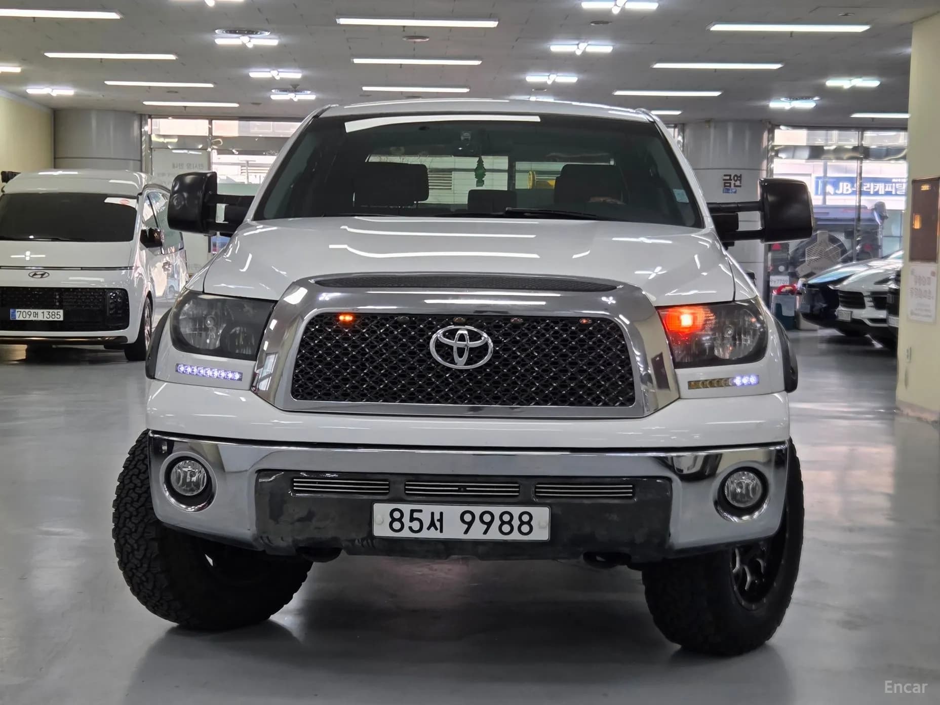 tundra
