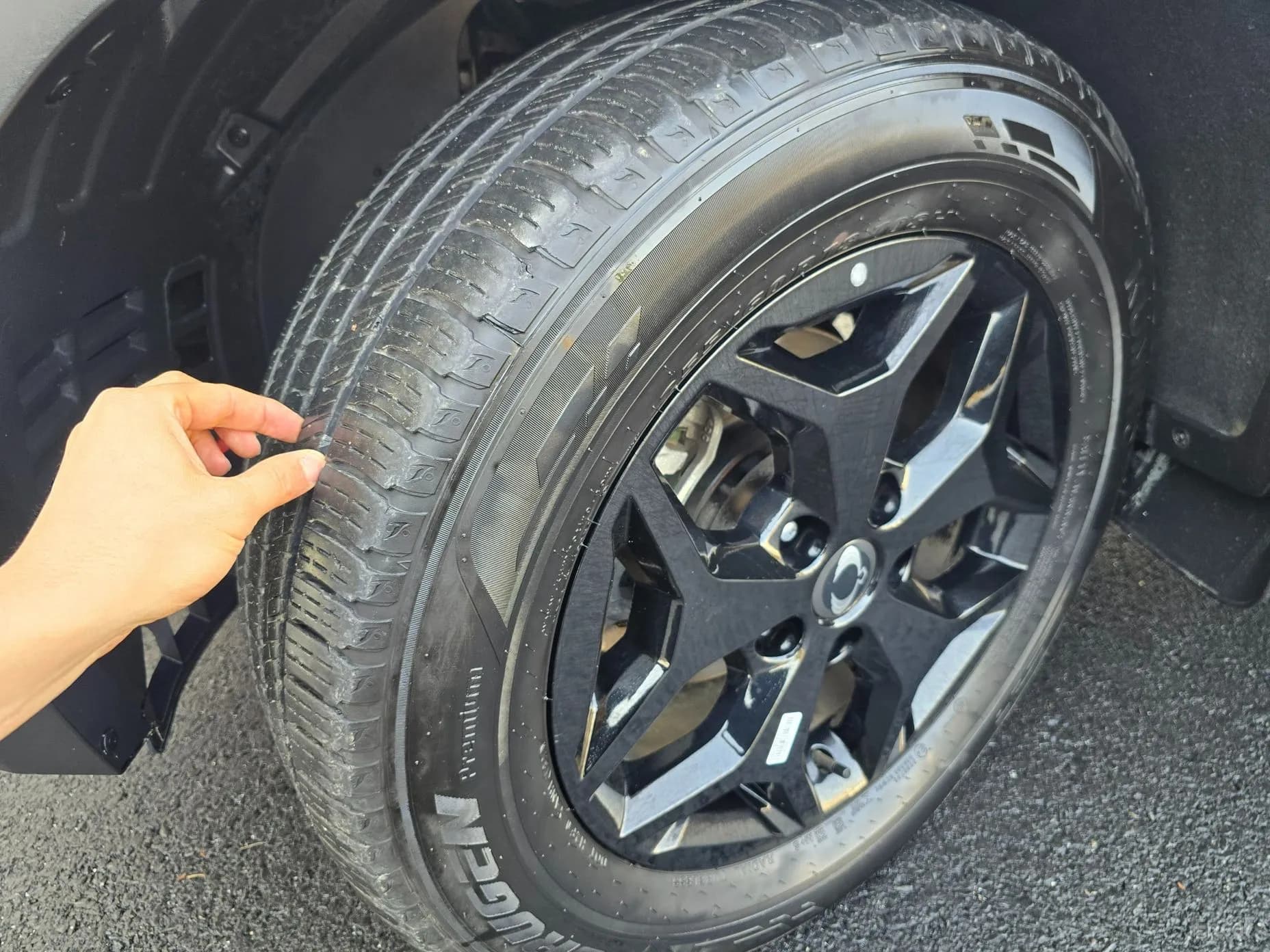 Rexton Sports