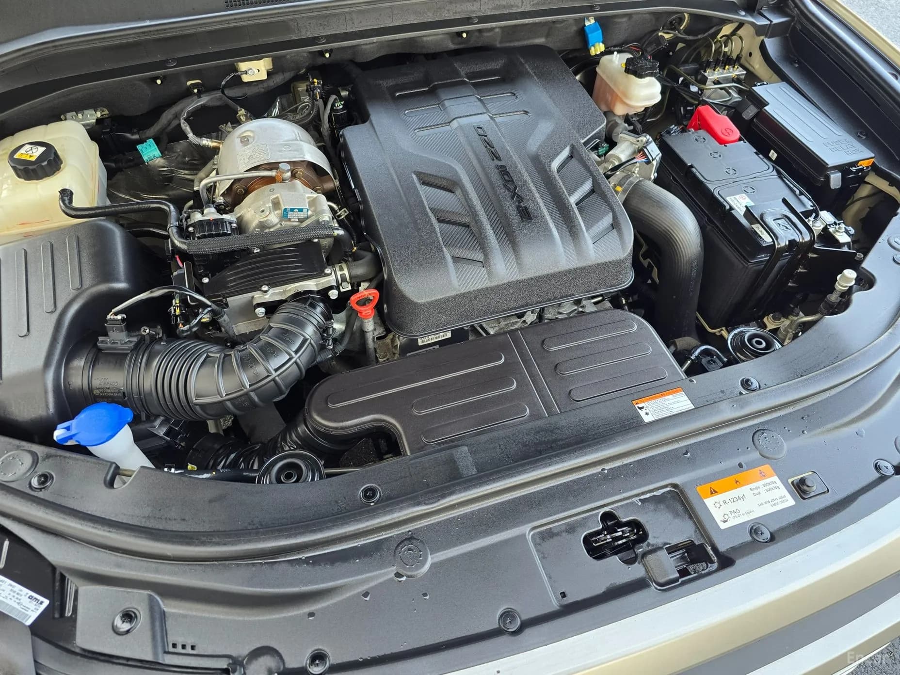 Rexton Sports