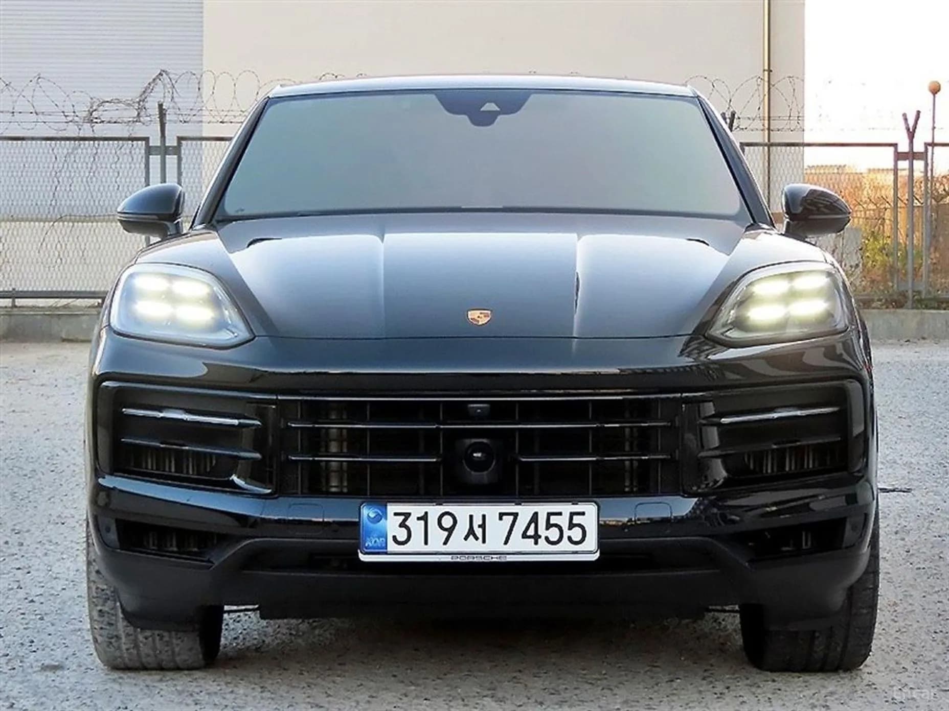 Cayenne (PO536)