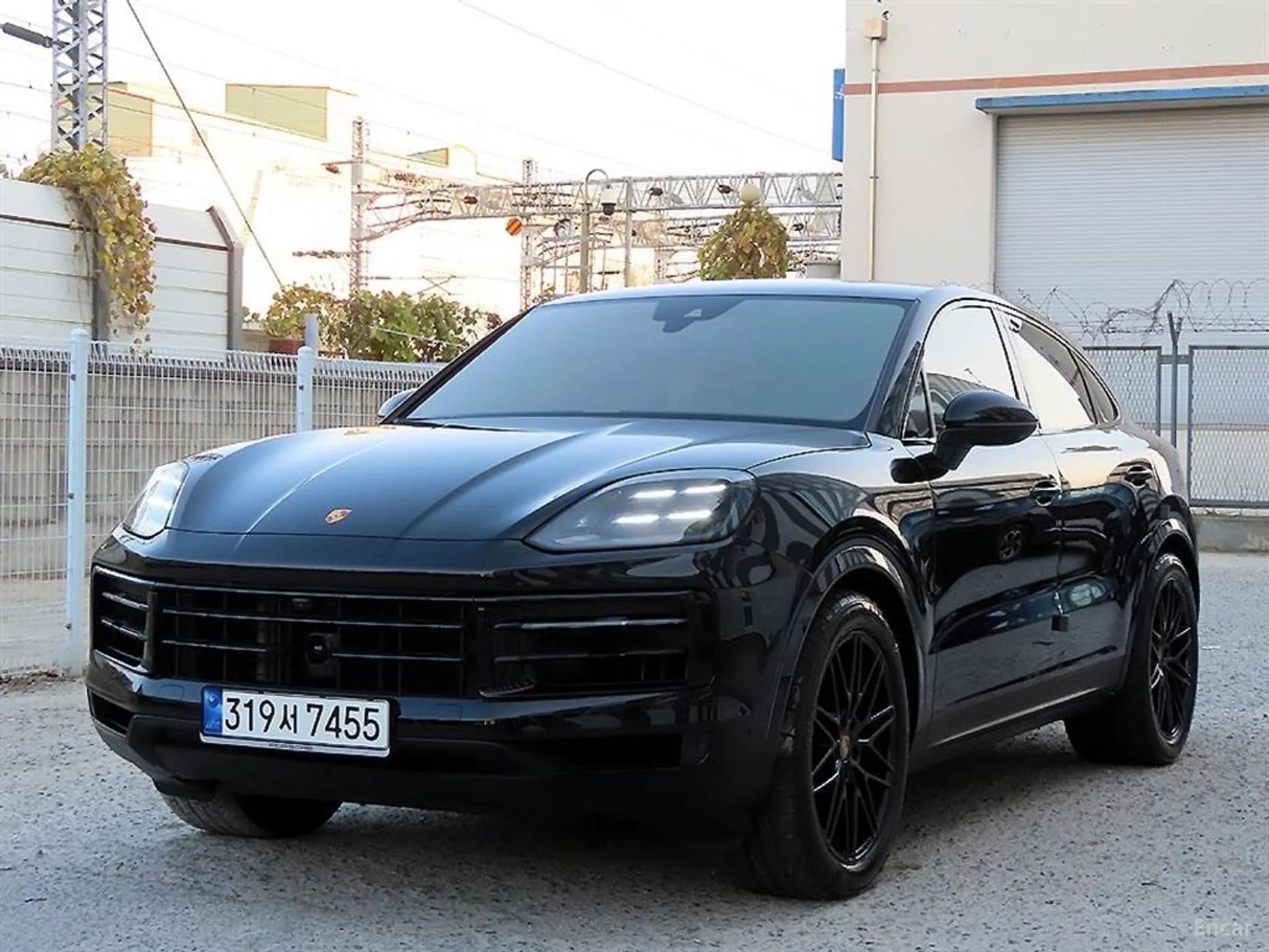 Cayenne (PO536)