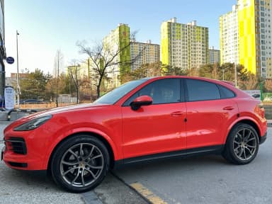 Cayenne (PO536)