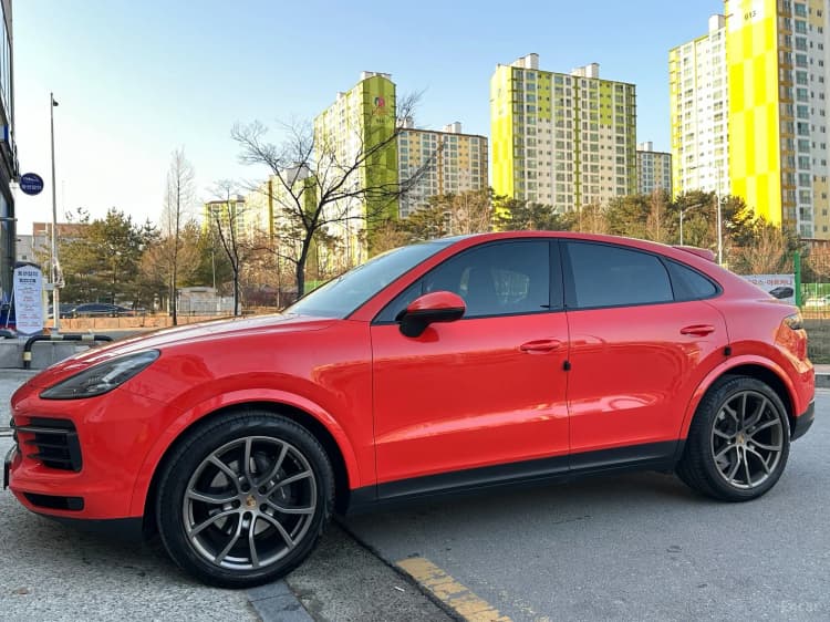 Cayenne (PO536)