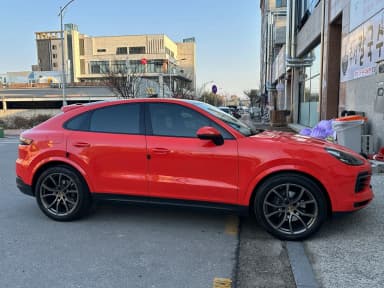 Cayenne (PO536)