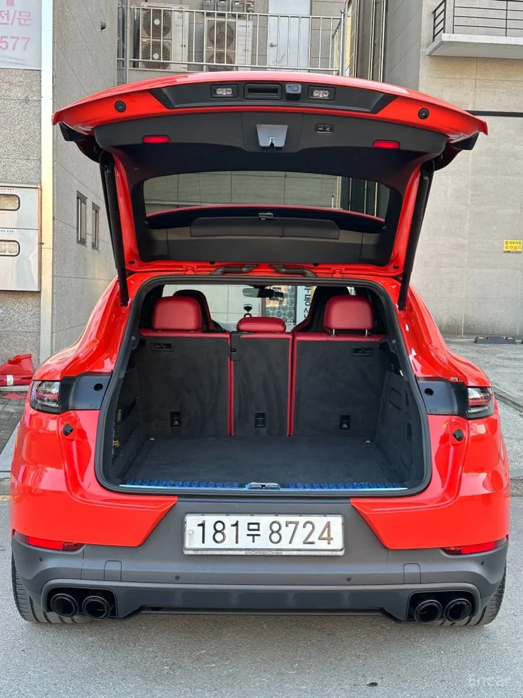 Cayenne (PO536)