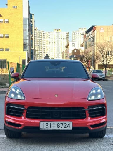 Cayenne (PO536)