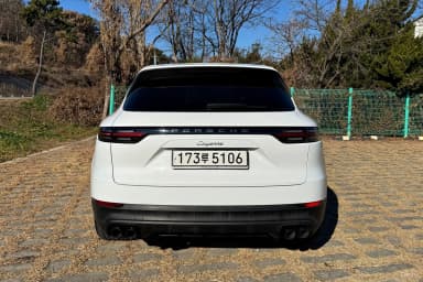 Cayenne (PO536)