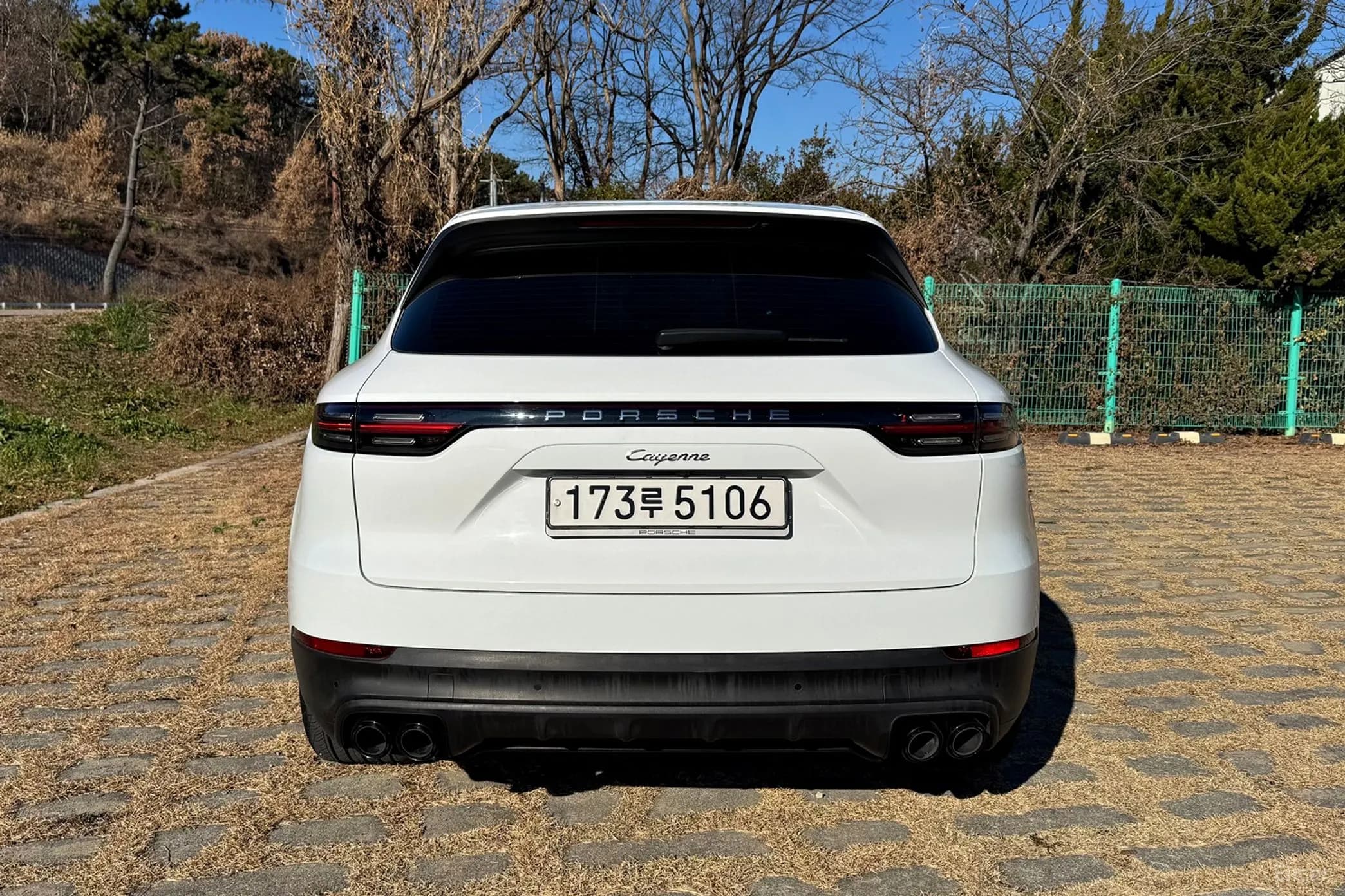 Cayenne (PO536)