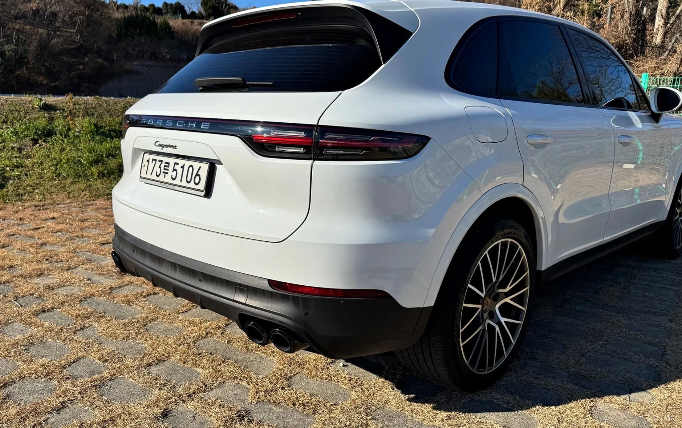 Cayenne (PO536)
