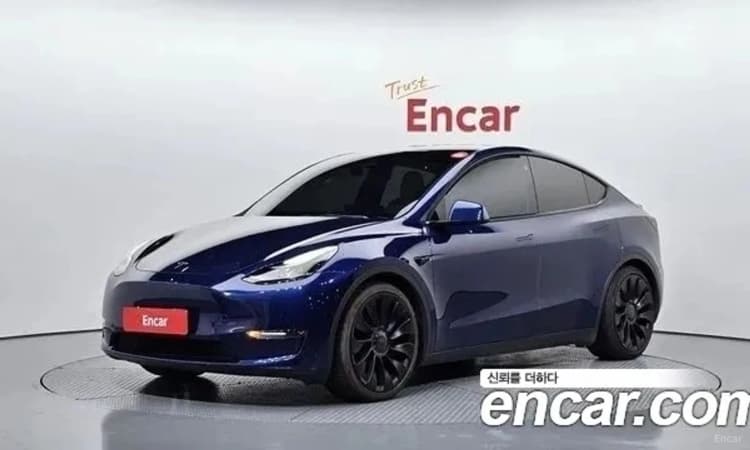 Model Y