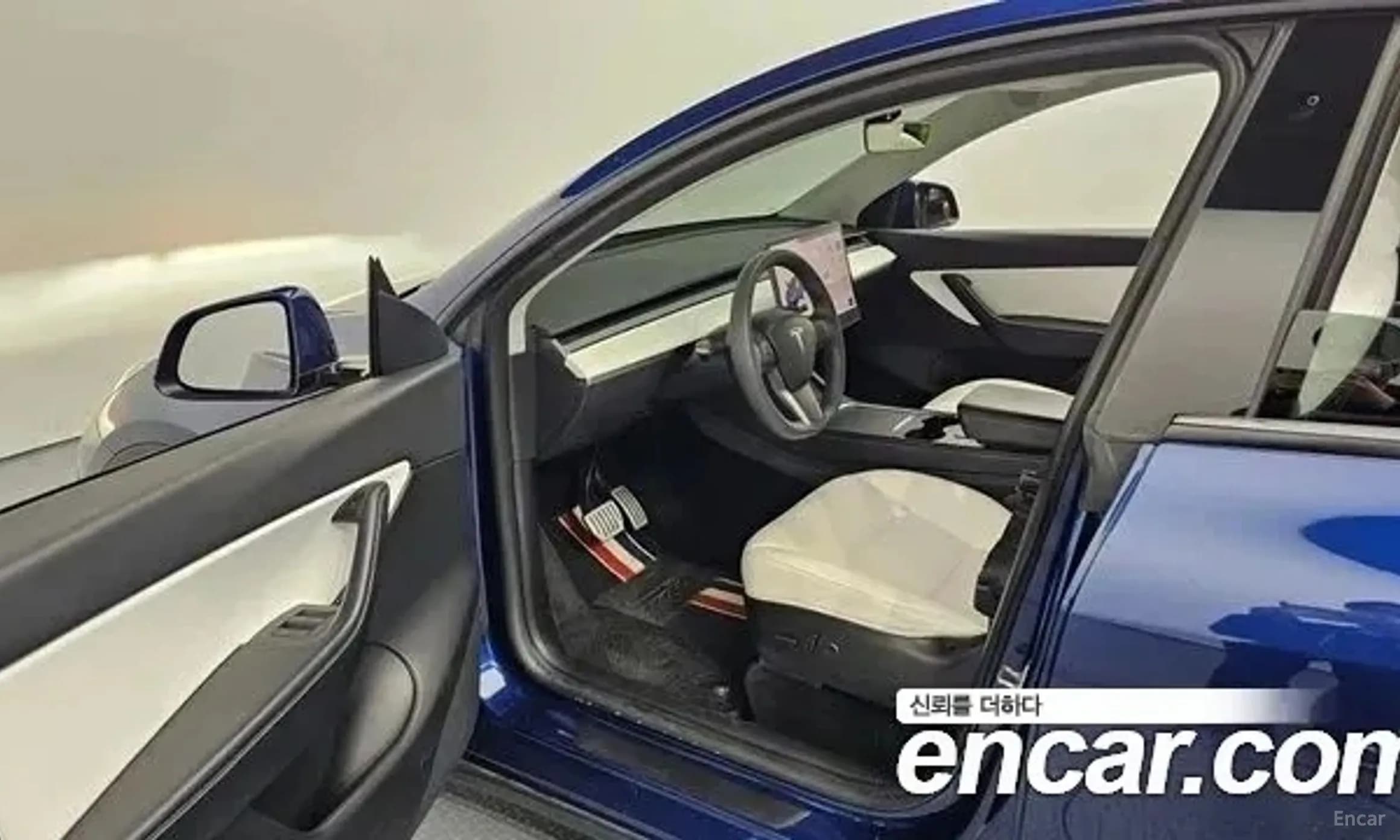 Model Y