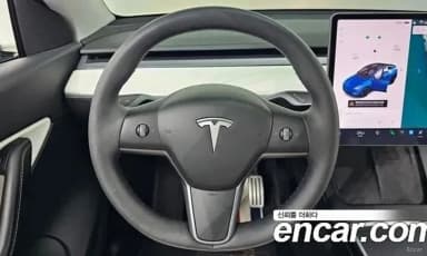 Model Y