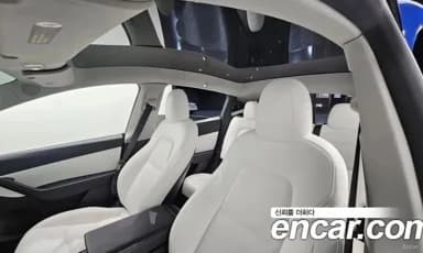 Model Y