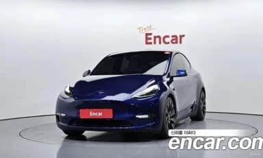 Model Y