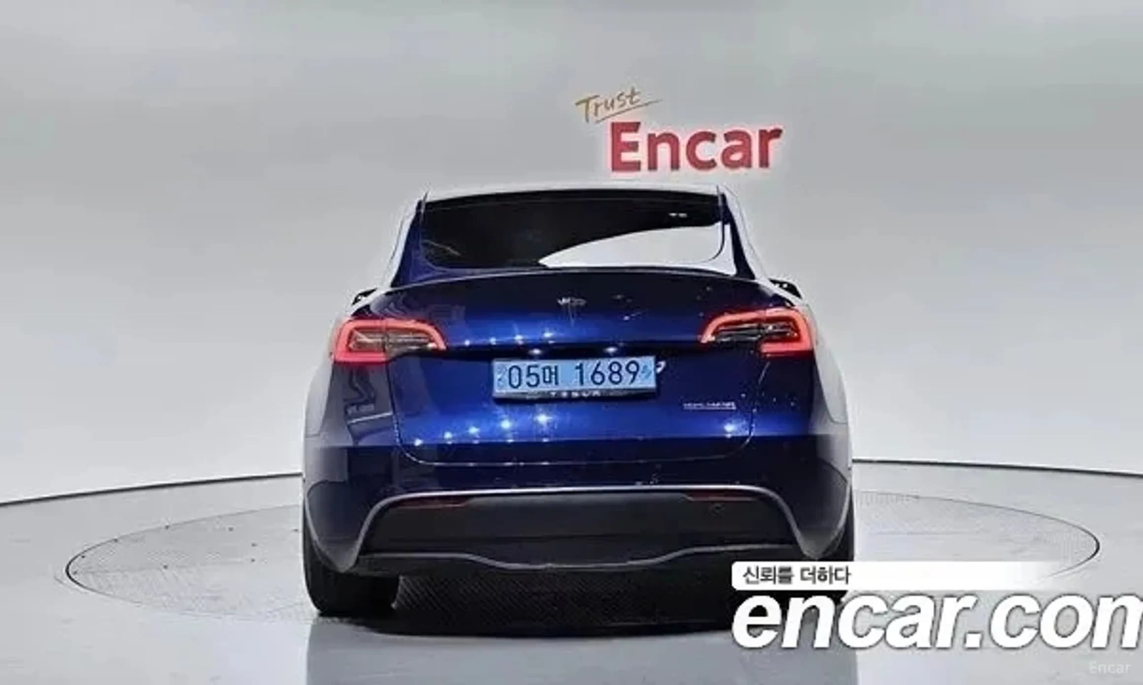 Model Y
