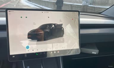 Model Y