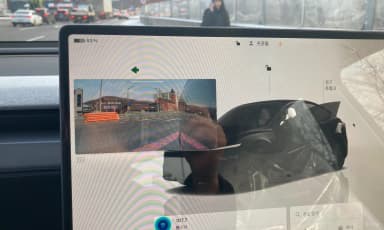 Model Y