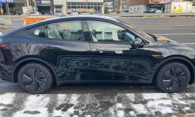 Model Y