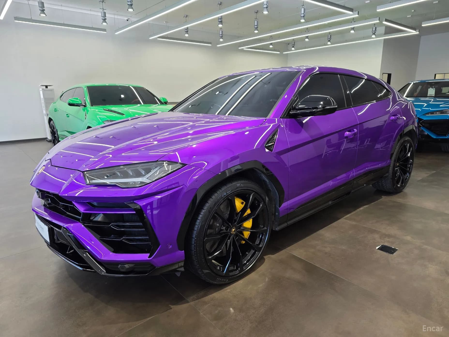 Urus